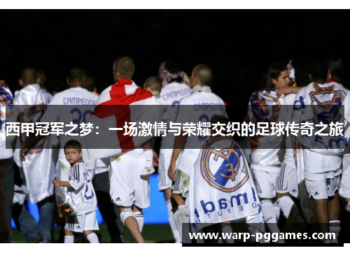 西甲冠军之梦：一场激情与荣耀交织的足球传奇之旅