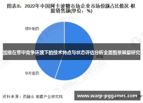 加维在意甲竞争环境下的技术特点与状态评估分析全面前景展望研究