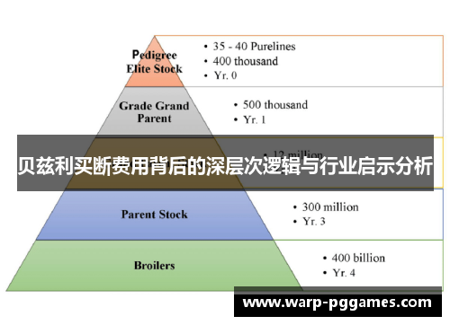 贝兹利买断费用背后的深层次逻辑与行业启示分析